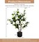 2pcs 38" Artificial Camellia Tree Flower Plant in Yellow Cement